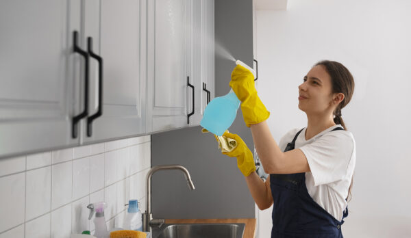 Domestic Cleaning London